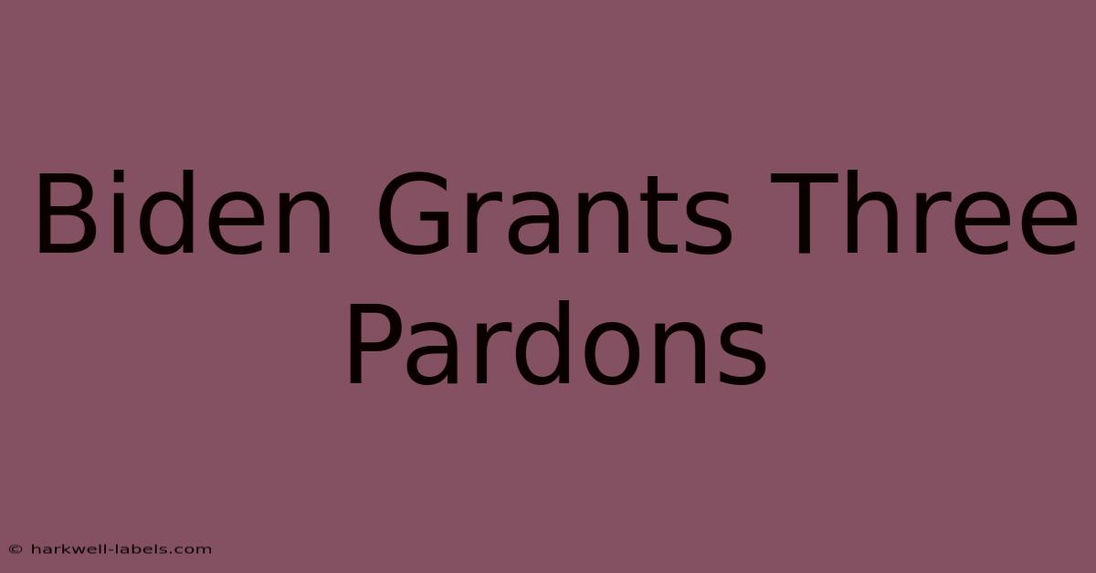 Biden Grants Three Pardons