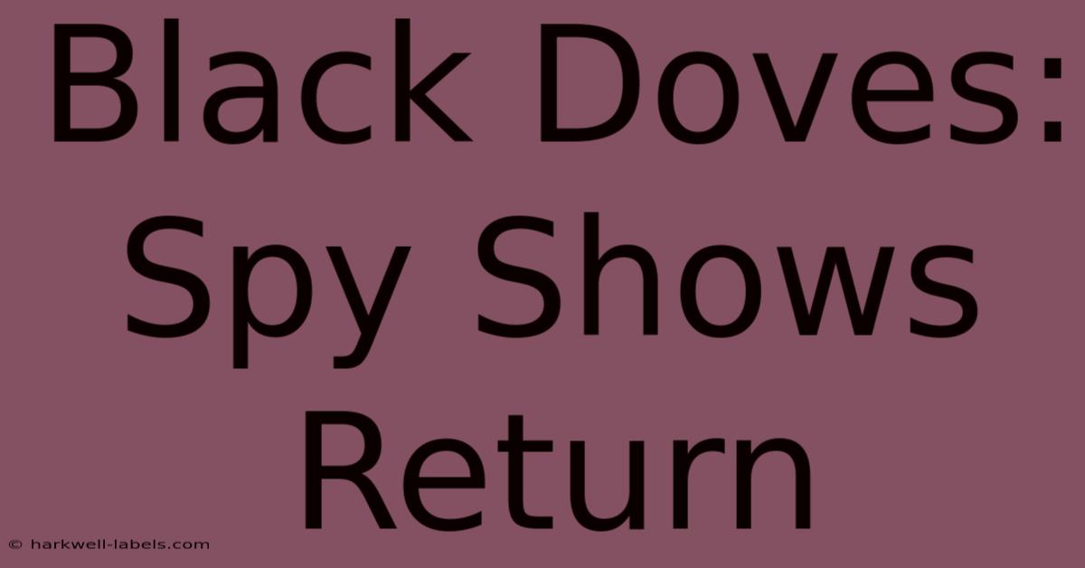 Black Doves: Spy Shows Return