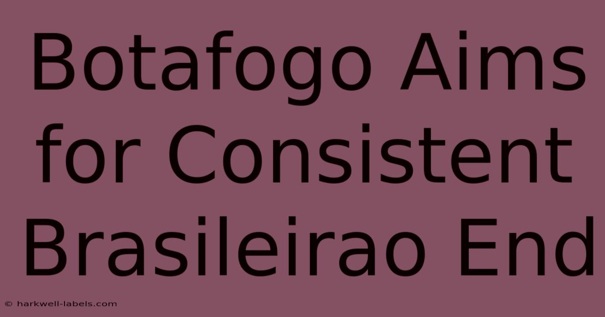 Botafogo Aims For Consistent Brasileirao End