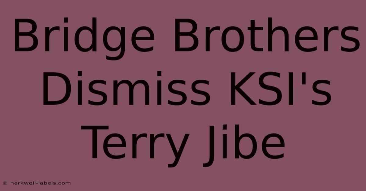 Bridge Brothers Dismiss KSI's Terry Jibe