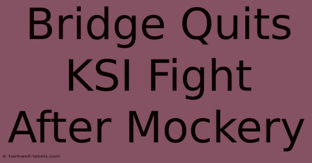 Bridge Quits KSI Fight After Mockery