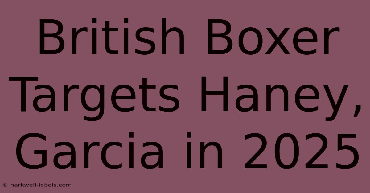 British Boxer Targets Haney, Garcia In 2025