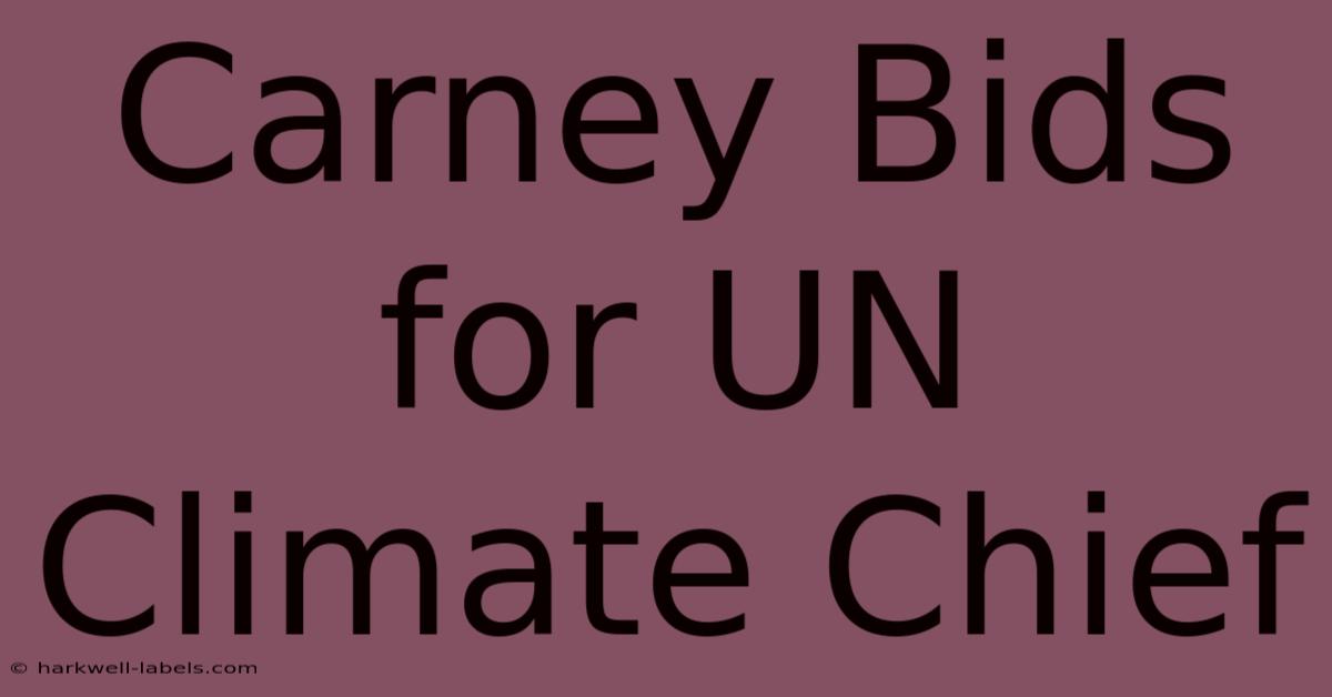 Carney Bids For UN Climate Chief