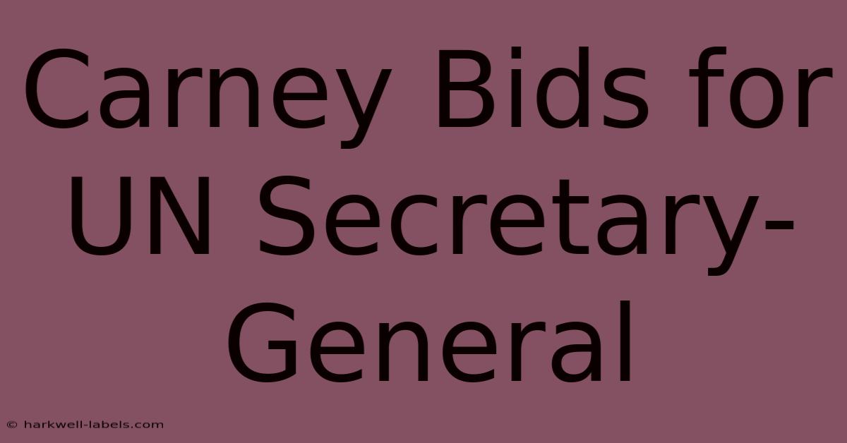 Carney Bids For UN Secretary-General