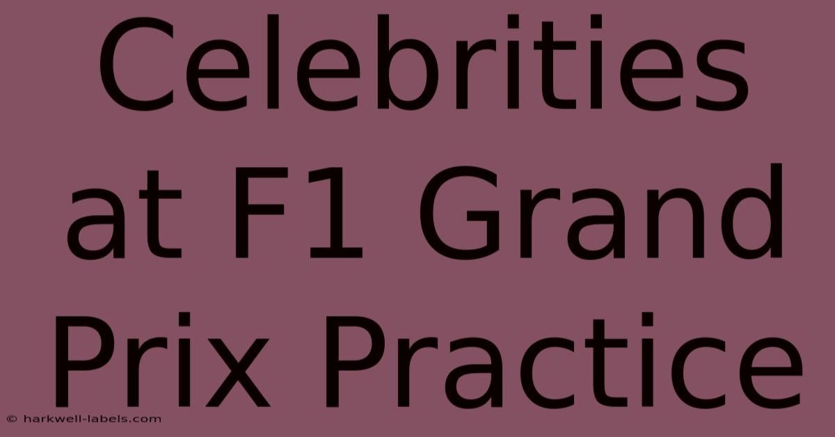 Celebrities At F1 Grand Prix Practice