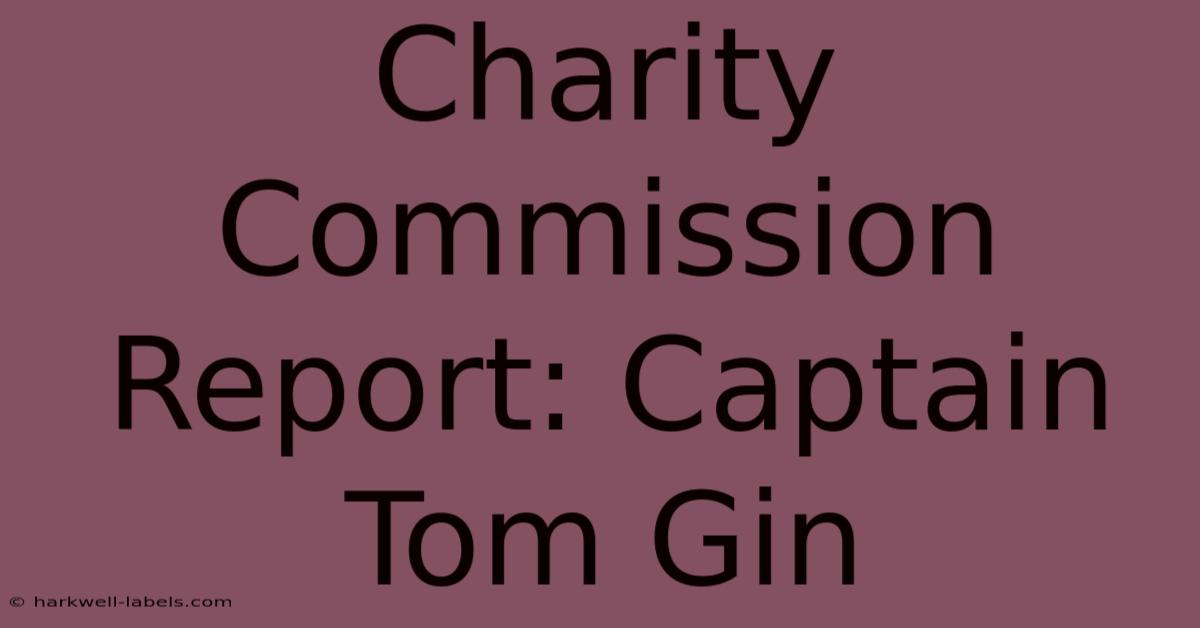 Charity Commission Report: Captain Tom Gin