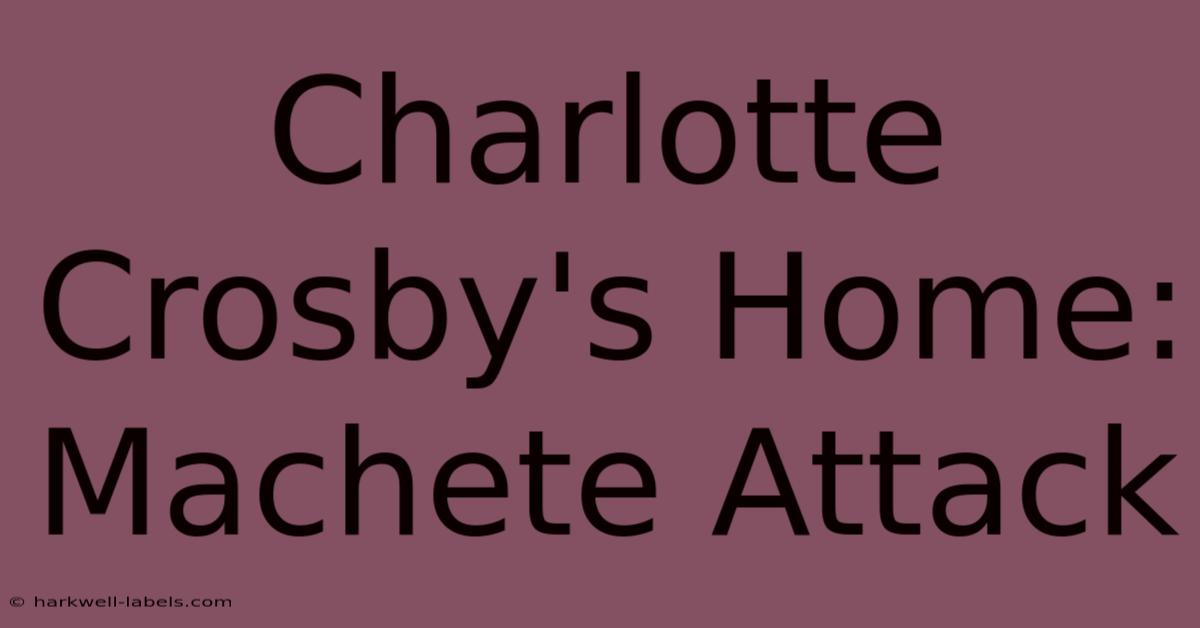 Charlotte Crosby's Home: Machete Attack