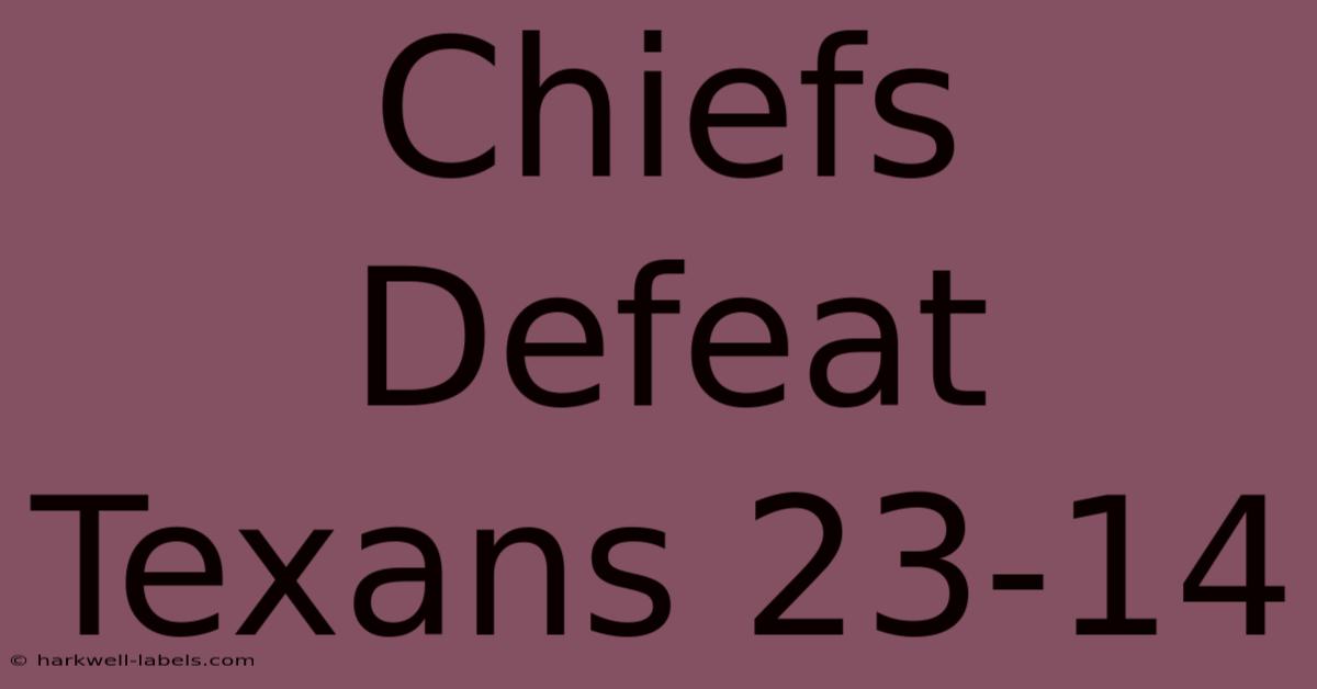 Chiefs Defeat Texans 23-14