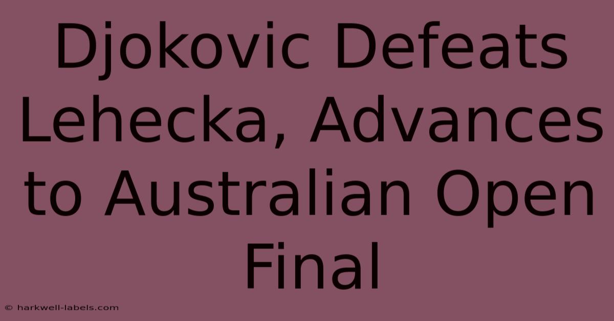 Djokovic Defeats Lehecka, Advances To Australian Open Final