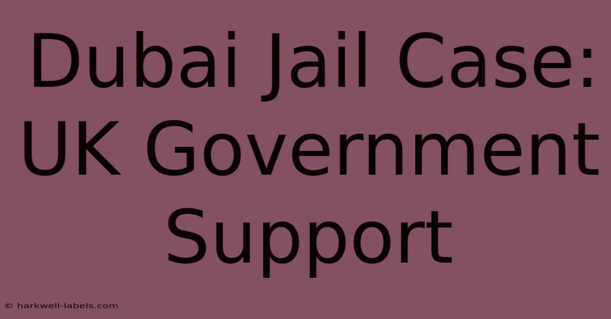 Dubai Jail Case: UK Government Support