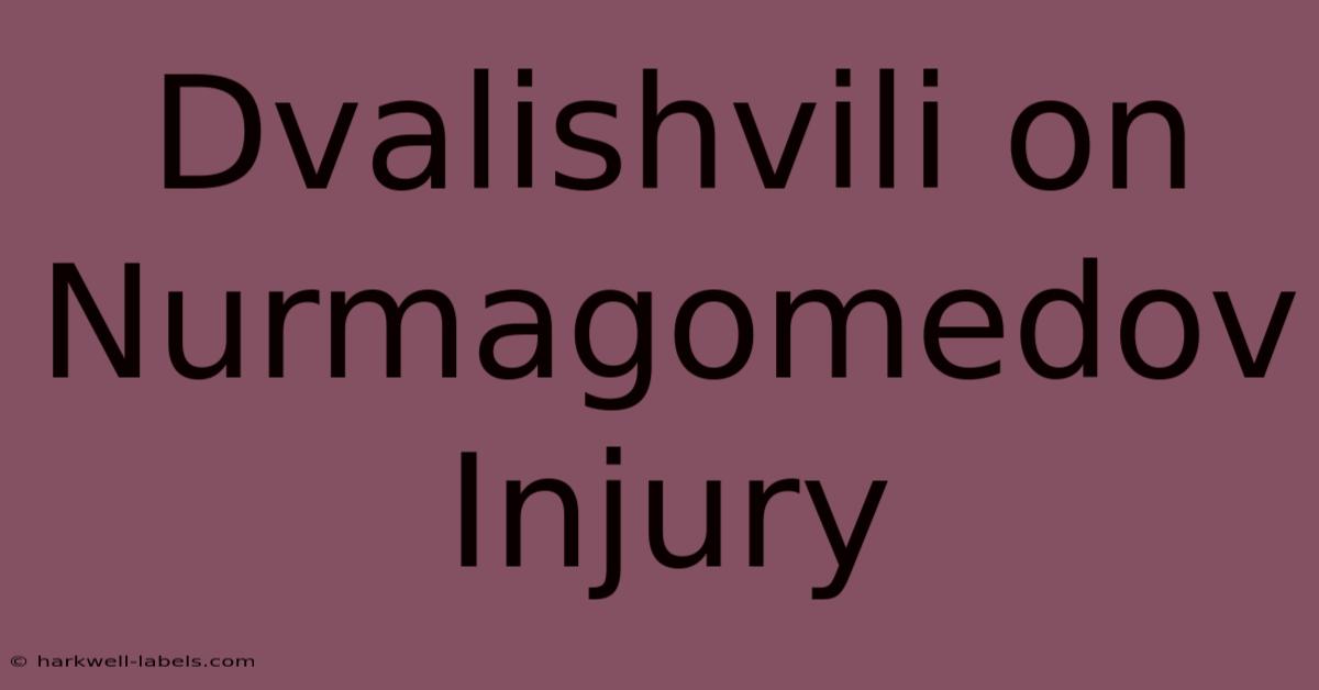 Dvalishvili On Nurmagomedov Injury