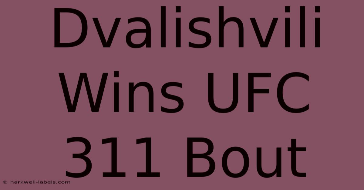 Dvalishvili Wins UFC 311 Bout