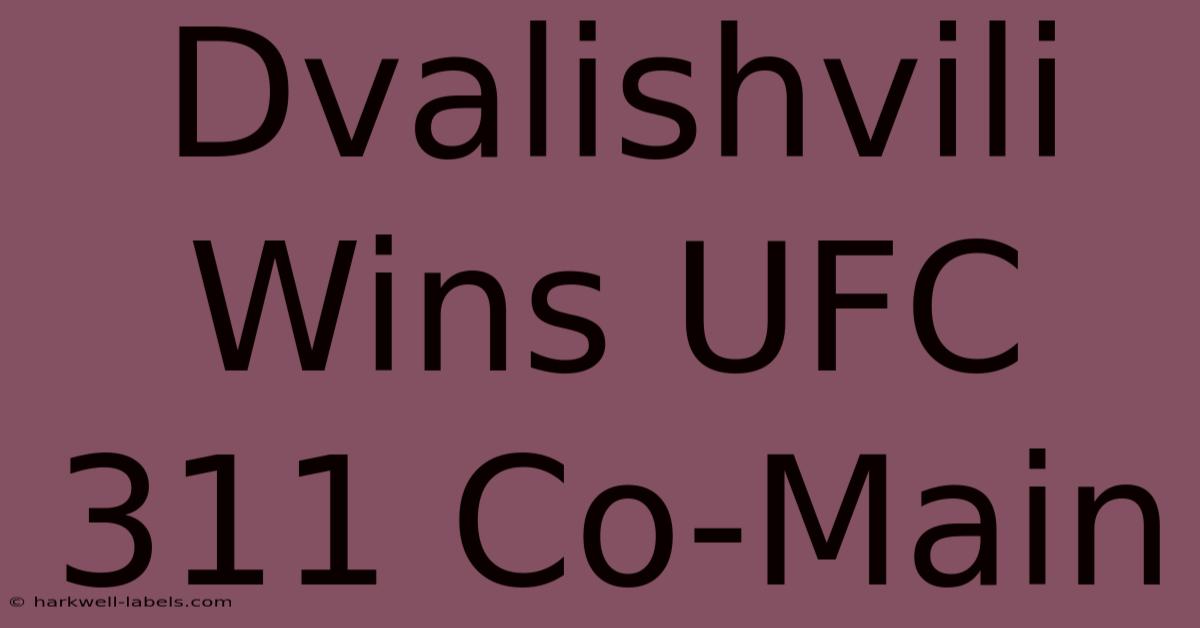 Dvalishvili Wins UFC 311 Co-Main