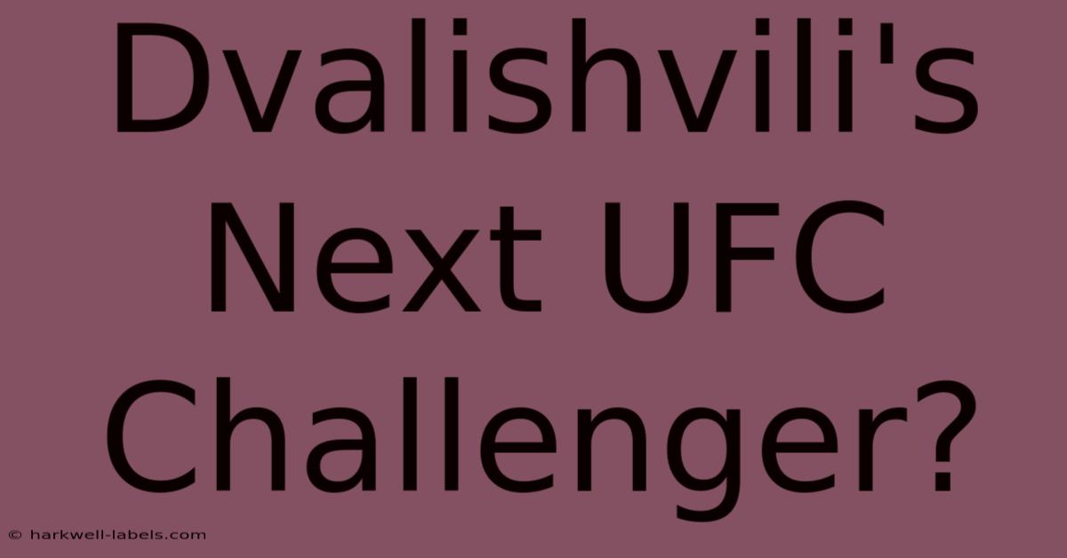 Dvalishvili's Next UFC Challenger?