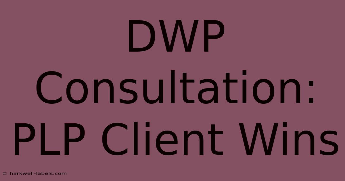 DWP Consultation: PLP Client Wins