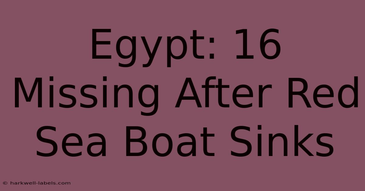 Egypt: 16 Missing After Red Sea Boat Sinks