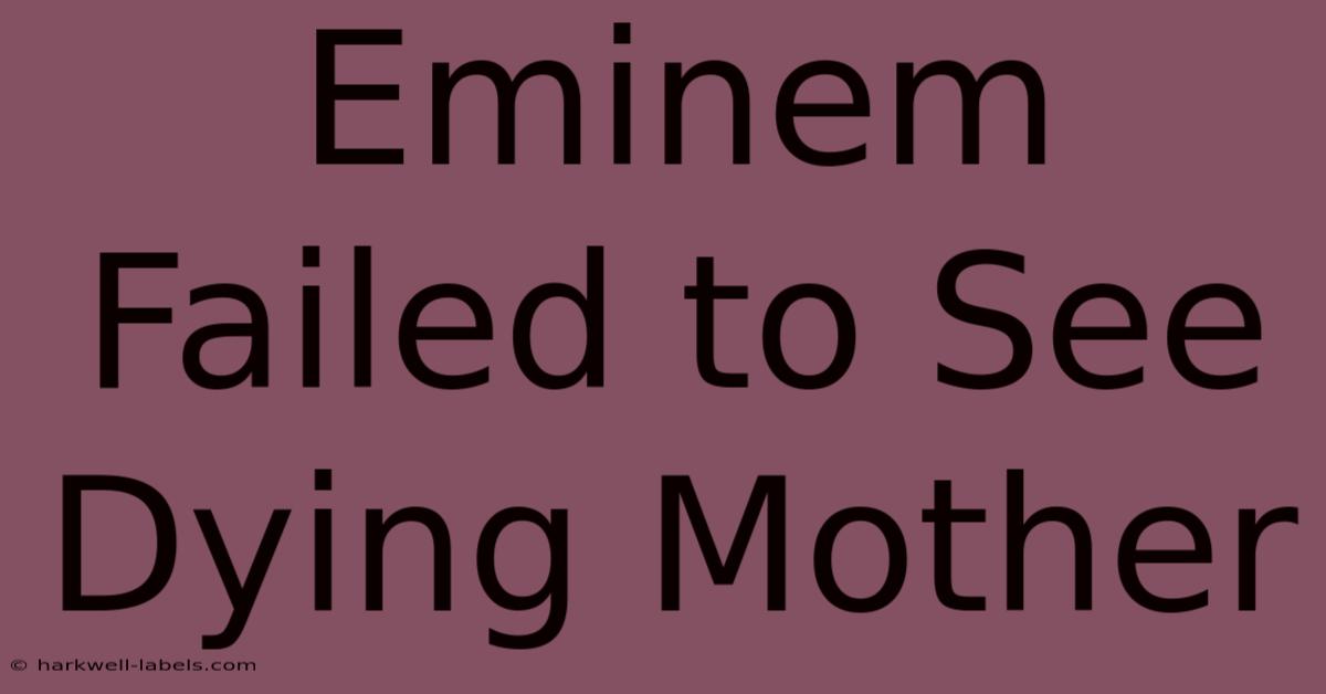 Eminem Failed To See Dying Mother