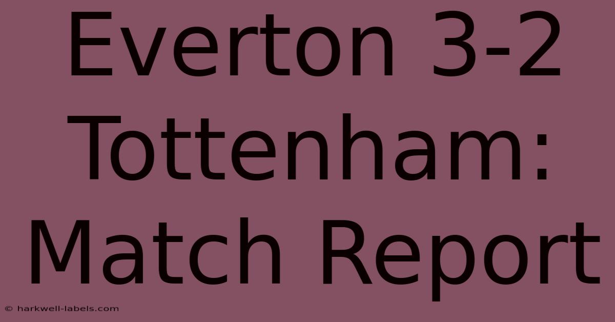 Everton 3-2 Tottenham: Match Report