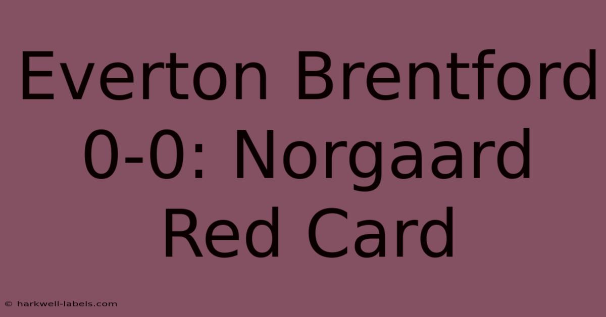 Everton Brentford 0-0: Norgaard Red Card