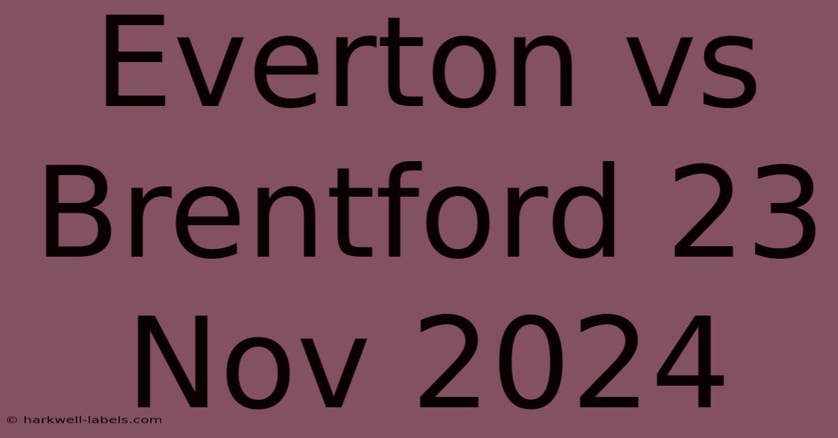 Everton Vs Brentford 23 Nov 2024