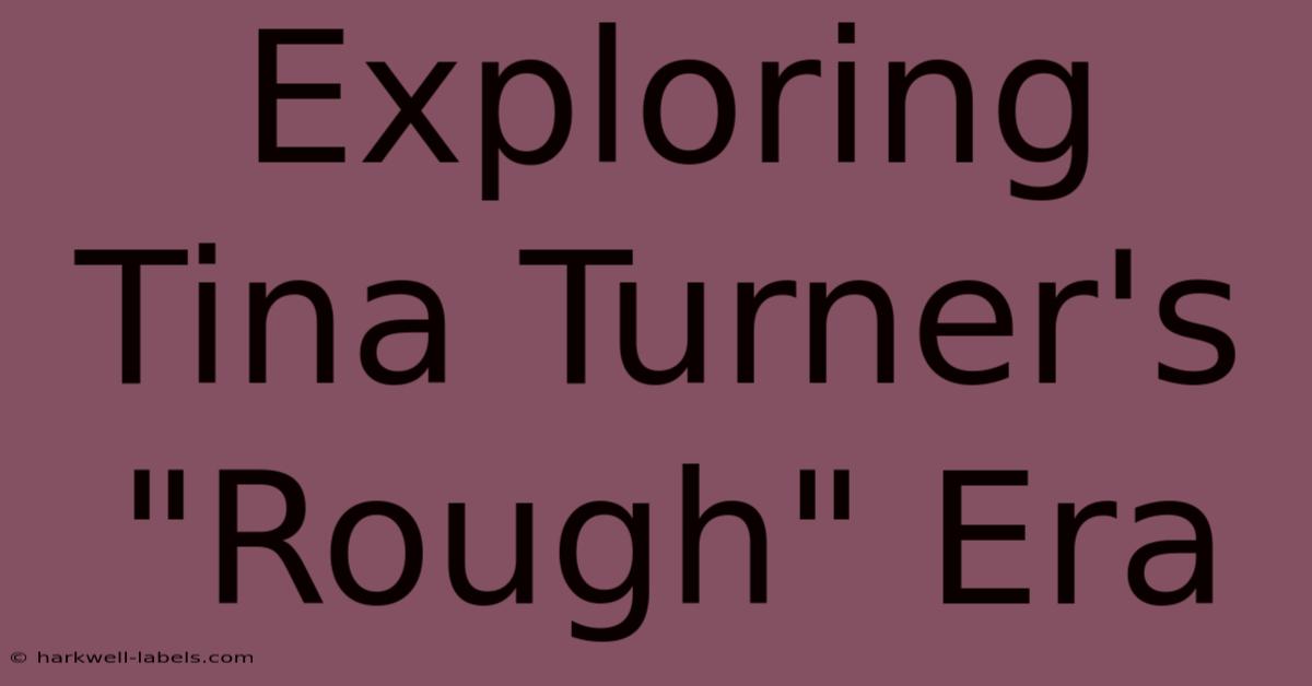 Exploring Tina Turner's 