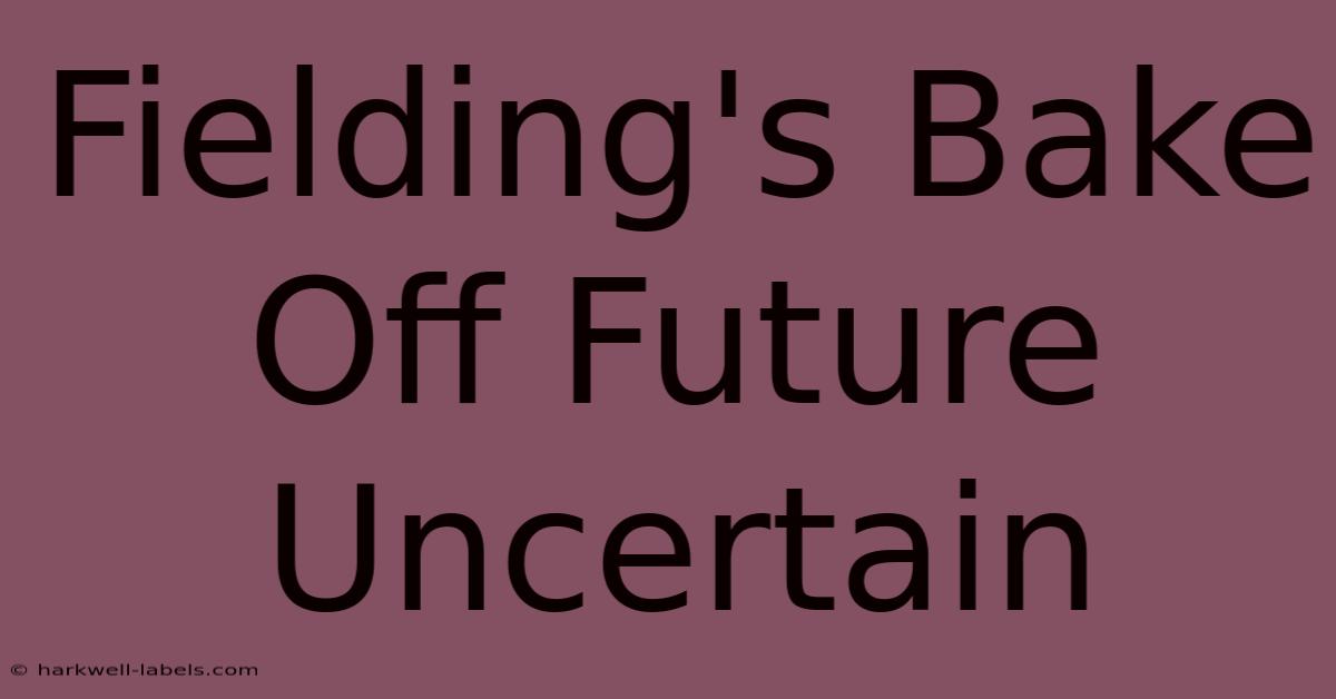 Fielding's Bake Off Future Uncertain