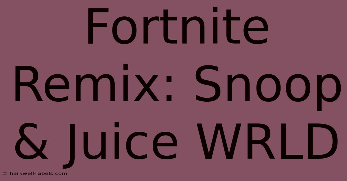 Fortnite Remix: Snoop & Juice WRLD