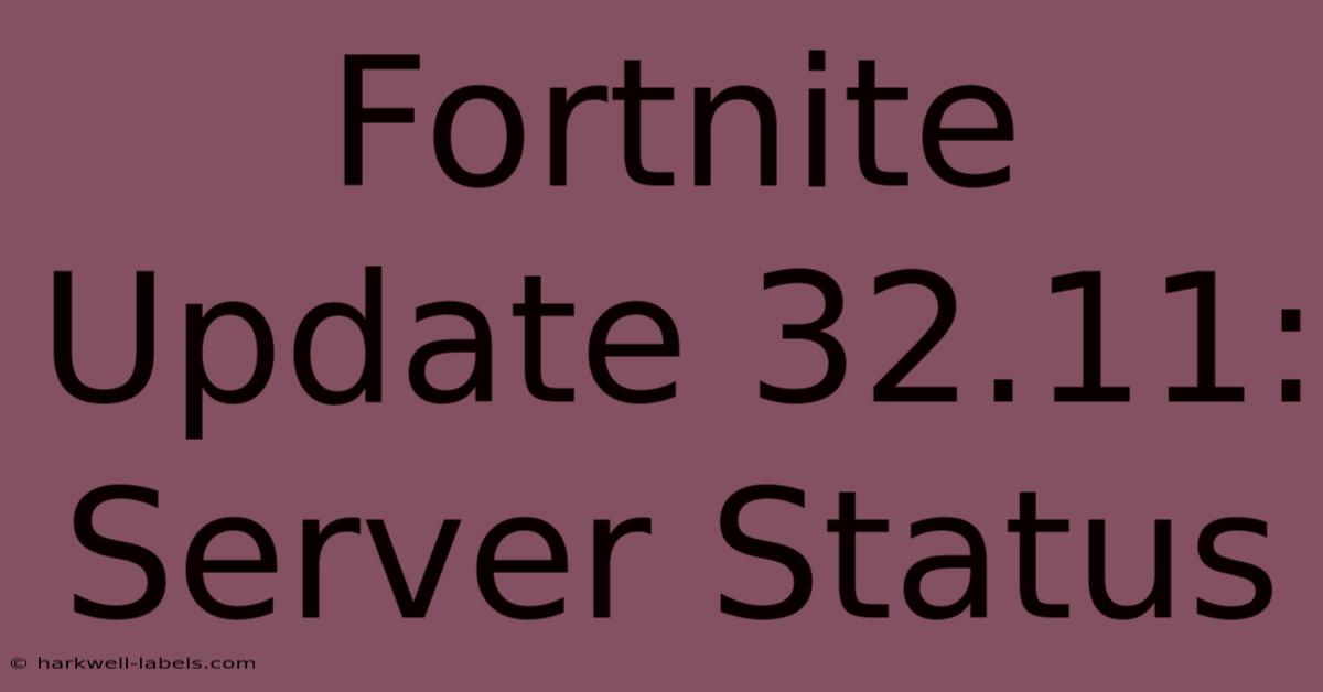 Fortnite Update 32.11: Server Status