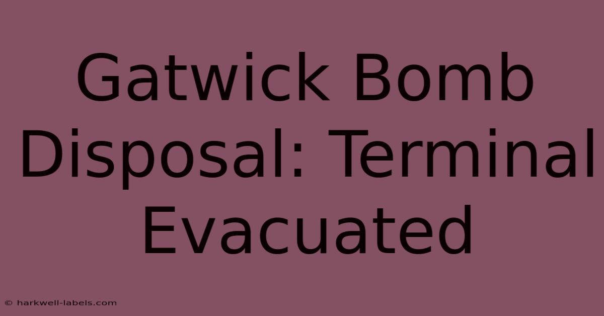 Gatwick Bomb Disposal: Terminal Evacuated