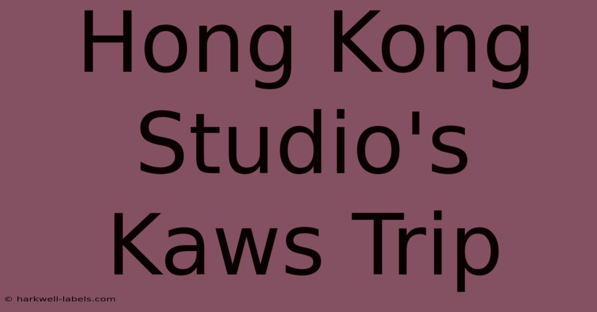 Hong Kong Studio's Kaws Trip