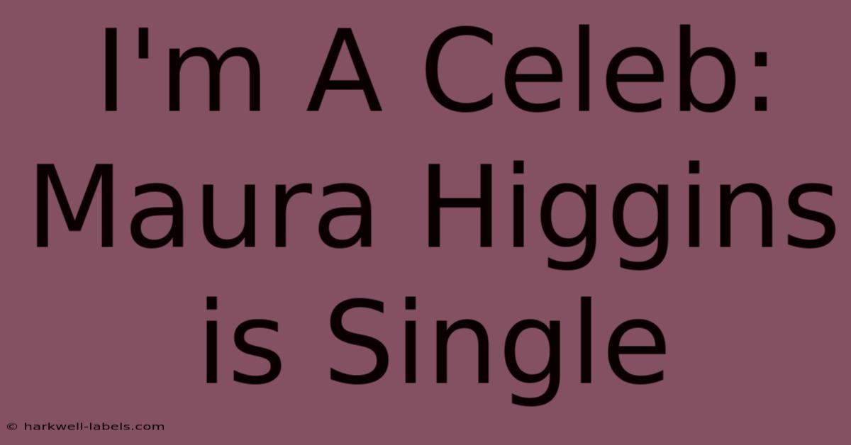 I'm A Celeb: Maura Higgins Is Single