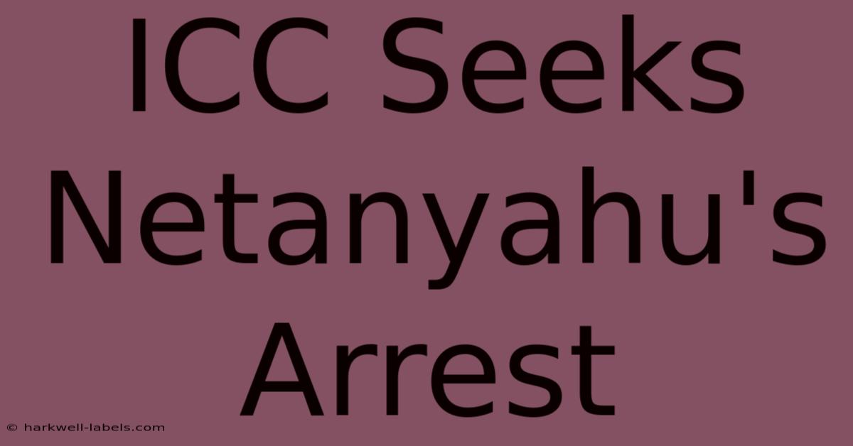 ICC Seeks Netanyahu's Arrest