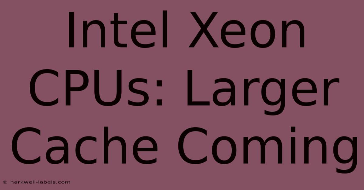 Intel Xeon CPUs: Larger Cache Coming