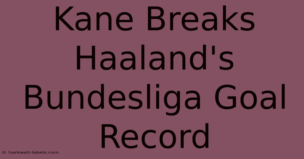 Kane Breaks Haaland's Bundesliga Goal Record