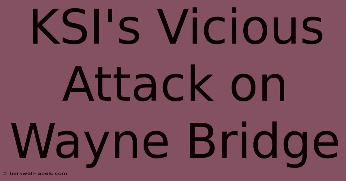 KSI's Vicious Attack On Wayne Bridge