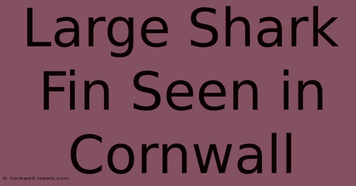 Large Shark Fin Seen In Cornwall