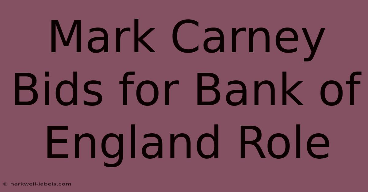 Mark Carney Bids For Bank Of England Role