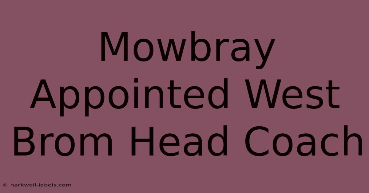 Mowbray Appointed West Brom Head Coach