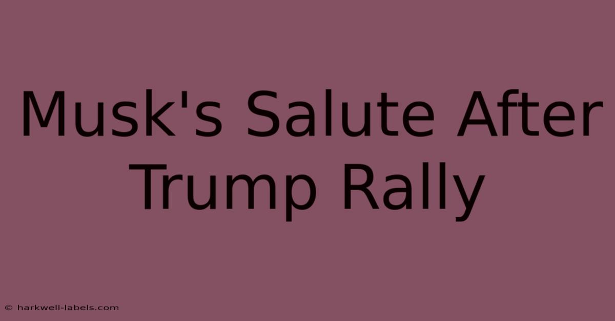 Musk's Salute After Trump Rally