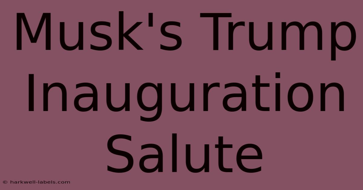 Musk's Trump Inauguration Salute