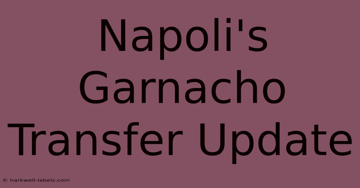 Napoli's Garnacho Transfer Update