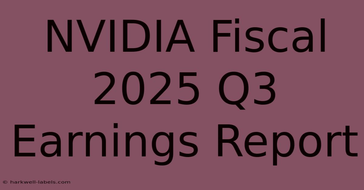 NVIDIA Fiscal 2025 Q3 Earnings Report