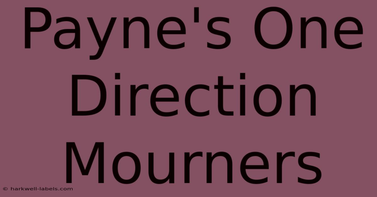 Payne's One Direction Mourners