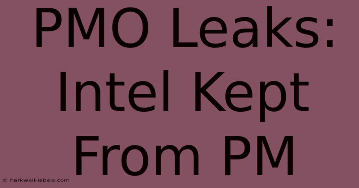 PMO Leaks: Intel Kept From PM