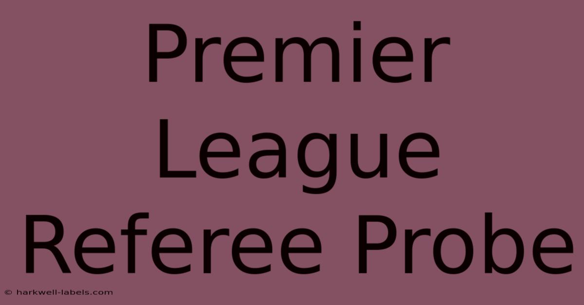 Premier League Referee Probe