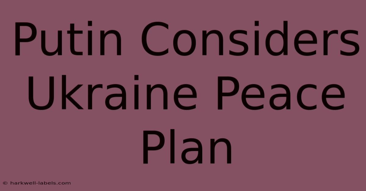 Putin Considers Ukraine Peace Plan