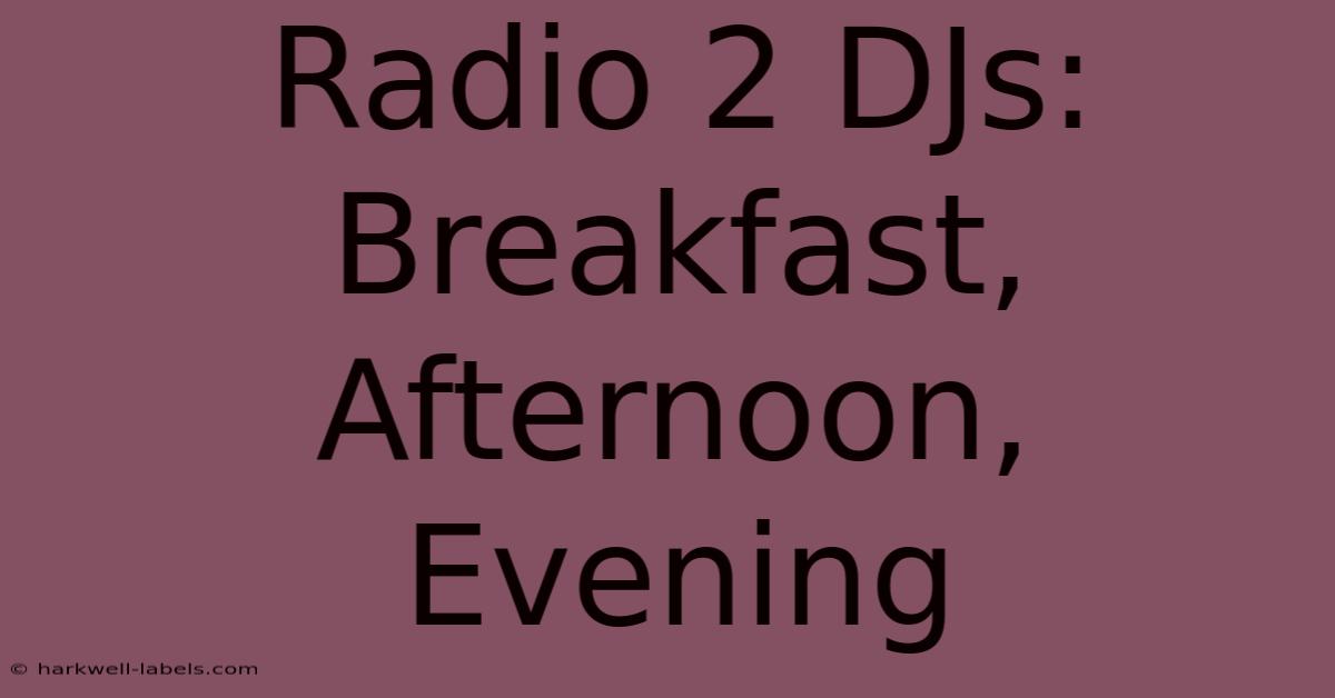 Radio 2 DJs: Breakfast, Afternoon, Evening