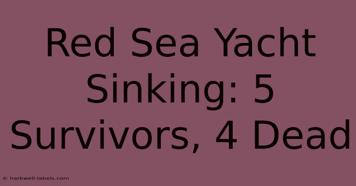 Red Sea Yacht Sinking: 5 Survivors, 4 Dead