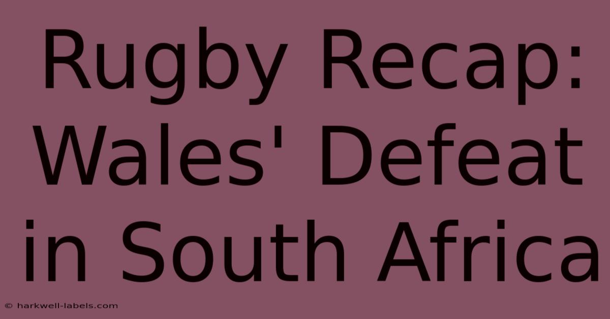 Rugby Recap: Wales' Defeat In South Africa