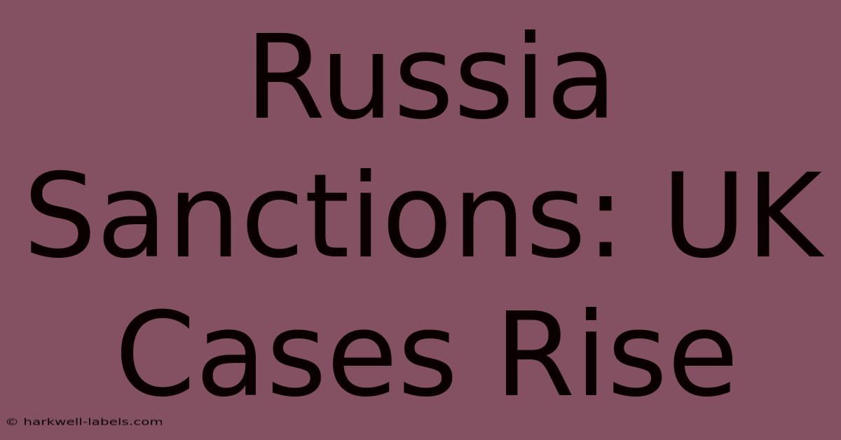 Russia Sanctions: UK Cases Rise